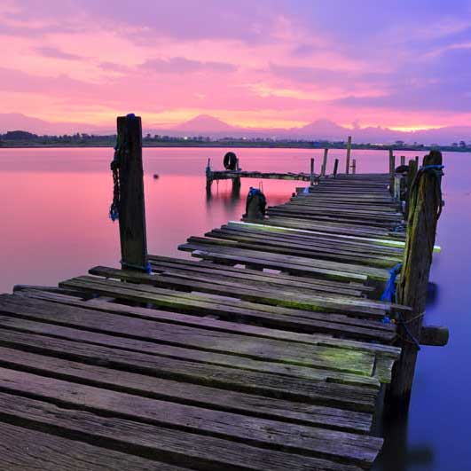 【电脑版】高速的在线轰炸电话网页版