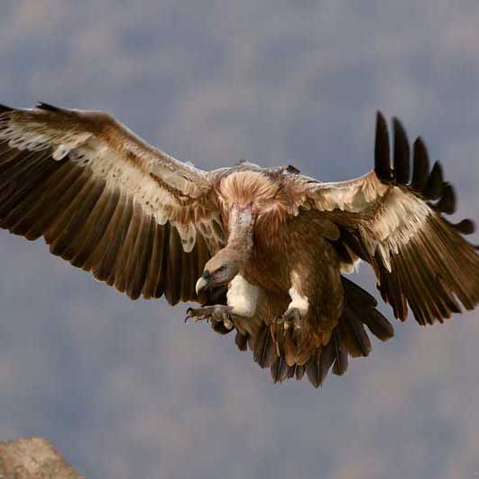 短信验证码轰炸卡盟免费